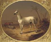 Theodor Horschelt A Grey Arabian Horse oil painting on canvas